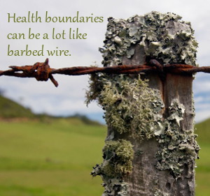 Health Boundaries