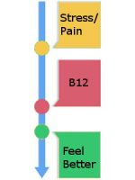 Time Line Graphic: Yellow for Stress, Red for B12, Green for feeling better