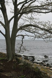 View from Shore Road, Magnolica, MA By John Phelan (Own work) [CC-BY-3.0 (http://creativecommons.org/licenses/by/3.0)], via Wikimedia Commons