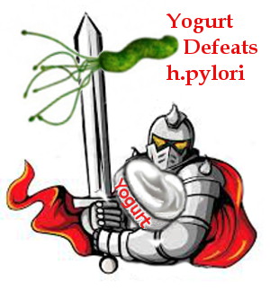 Yogurt defeats h.pylori. Yogurt's good bacteria are your knights in shining armor