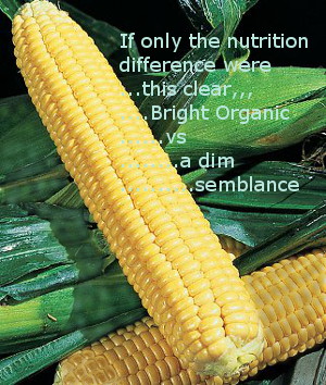 GMO vs nonGMO nutrient content - nonGMO Corn comes out on top