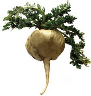 Superfood ~ Maca