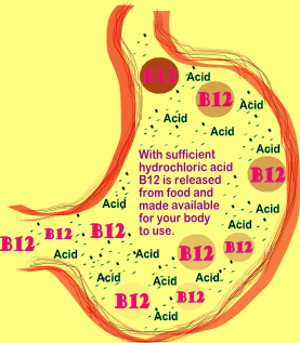 Illustration - gastric acid releasing vitamin B12 from food