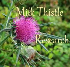 Photo of Milk Thistle flower and bud - Text: Milk Thistle Research