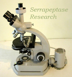 Microscope - Serrapeptase Research