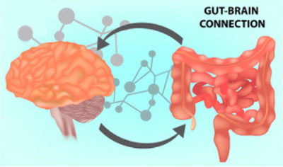 Gut - Brain Connection